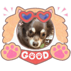 Johnny_20251231004216