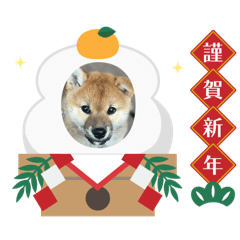 rohiRohi_20251231075650