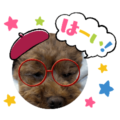 shino_20251231080907