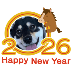 mochi_20251231115813