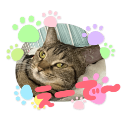 Mikorin_20251231111009