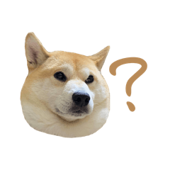 估粒的弟弟叫估弟