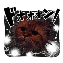 Boku Nekota_2025123111131