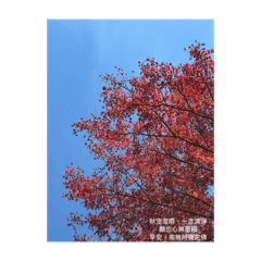 紅葉狩り｜和風佛系早安圖