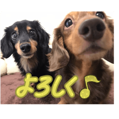 kimtan_20251229214649