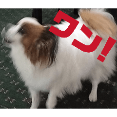 atsushi_20251231024812