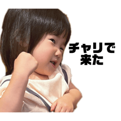 shiro_20251231124003