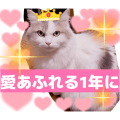 Marie A_20251228230714