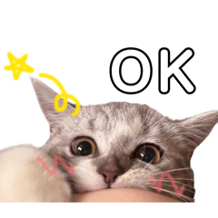 nyannya_20251229214156