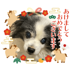 Kinako_20251230230656