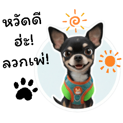 METALINZ_20251231003745