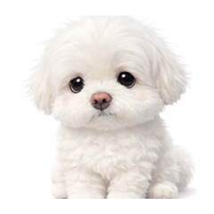 Gachapink_20251231034631