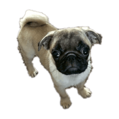 nakawake_20251231070407