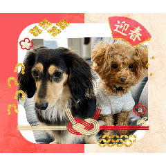 anmama_20251231095504