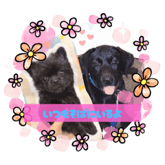 Yunna_20251231133242