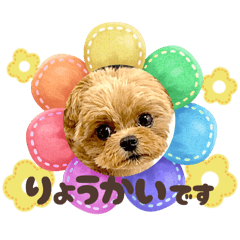 Mogori Works_20251231103658