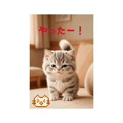 Flying Penguin_20251231112007