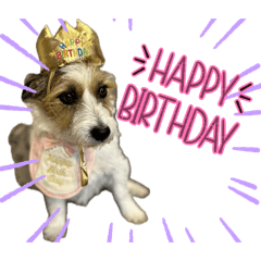 yukomo_20251231101620