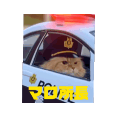 Boku Nekota_2025123113140