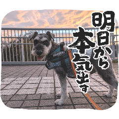 sakure_20251231142826