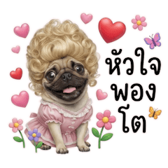 ปั๊กผมบลอนด์หยิกฟูน่ารัก