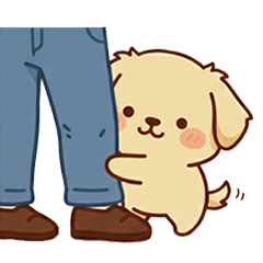 QQQQQQQgolden retriever3