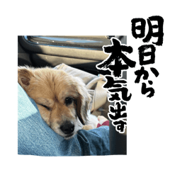 Yukari_20251230120537