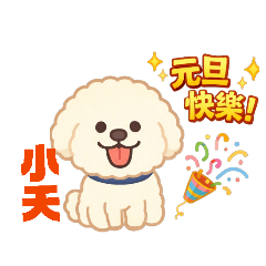 small_20251230150641