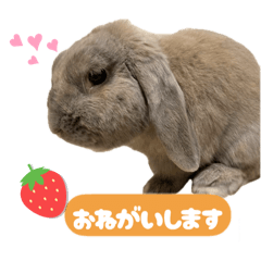 yurika_20251231135518