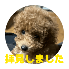 mimimon_20251231140227