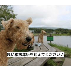 Sympathie_20251230150541