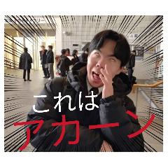 taiharu130_20251230141902