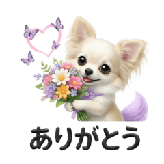 PinoNuts_20251230152332