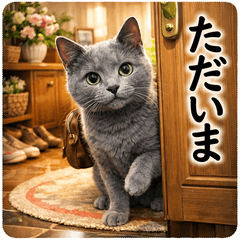 For Gray Cats & Cat Lovers