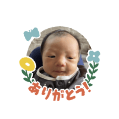 Momo_20251231132500