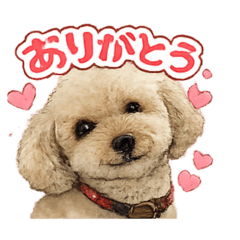 kinaco_20251231132630