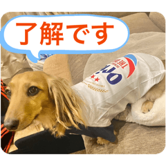 yuuki_20251231133102