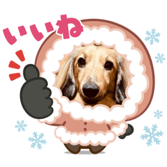 masae_20251231141806