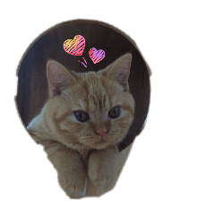 budouchan_20251231141824