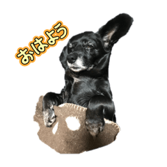 naaaaa_20251231141428