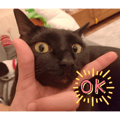 ONIGIRI_20251230183256