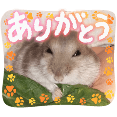 Jacob on southern island_20251231142555