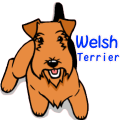 Welsh terrier Sticker