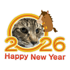 ASUKA_20251231153706