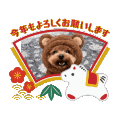 binchan_20251231170324