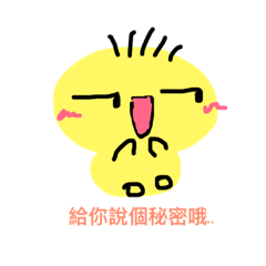 大寶的日常