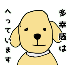 ChitamaX_20251230192927