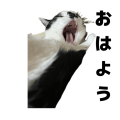 kohei_20251231162439