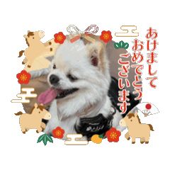 rikapuriko_20251231200952