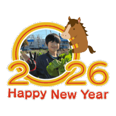 しんねんのご挨拶スタンプ